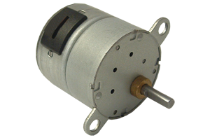Permanent Magnet (PM) Stepper Motors with Spur Gearboxes - TGM25